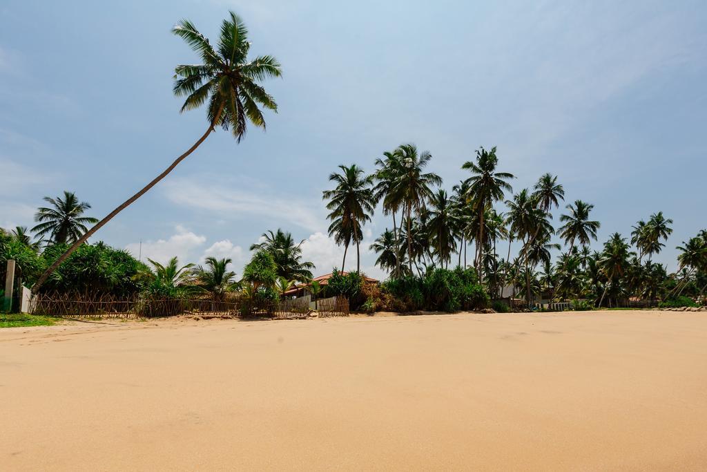 Blue Parrot Beach Villa Ambalangoda (Galle) Exterior foto